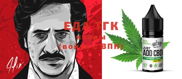 шишки Гусев