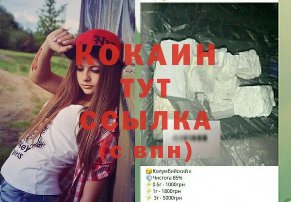 шишки Гусев