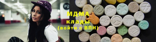 шишки Гусев