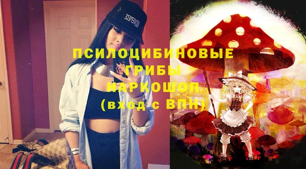 круглые Вяземский