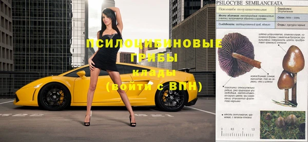 тгк Протвино