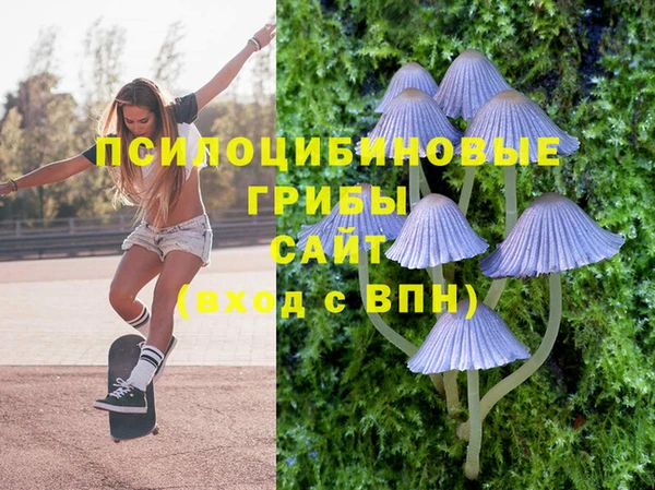 круглые Вяземский